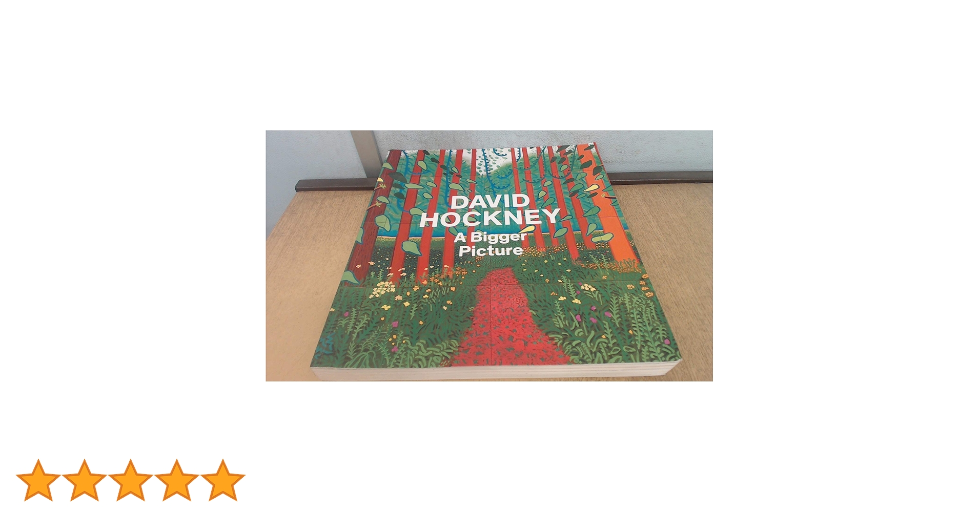 Amazon | David Hockney: A Bigger Picture | Hockney, David | Drawing